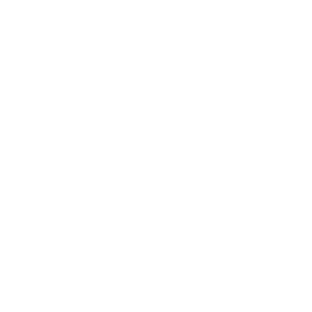 IFI S.R.L.
